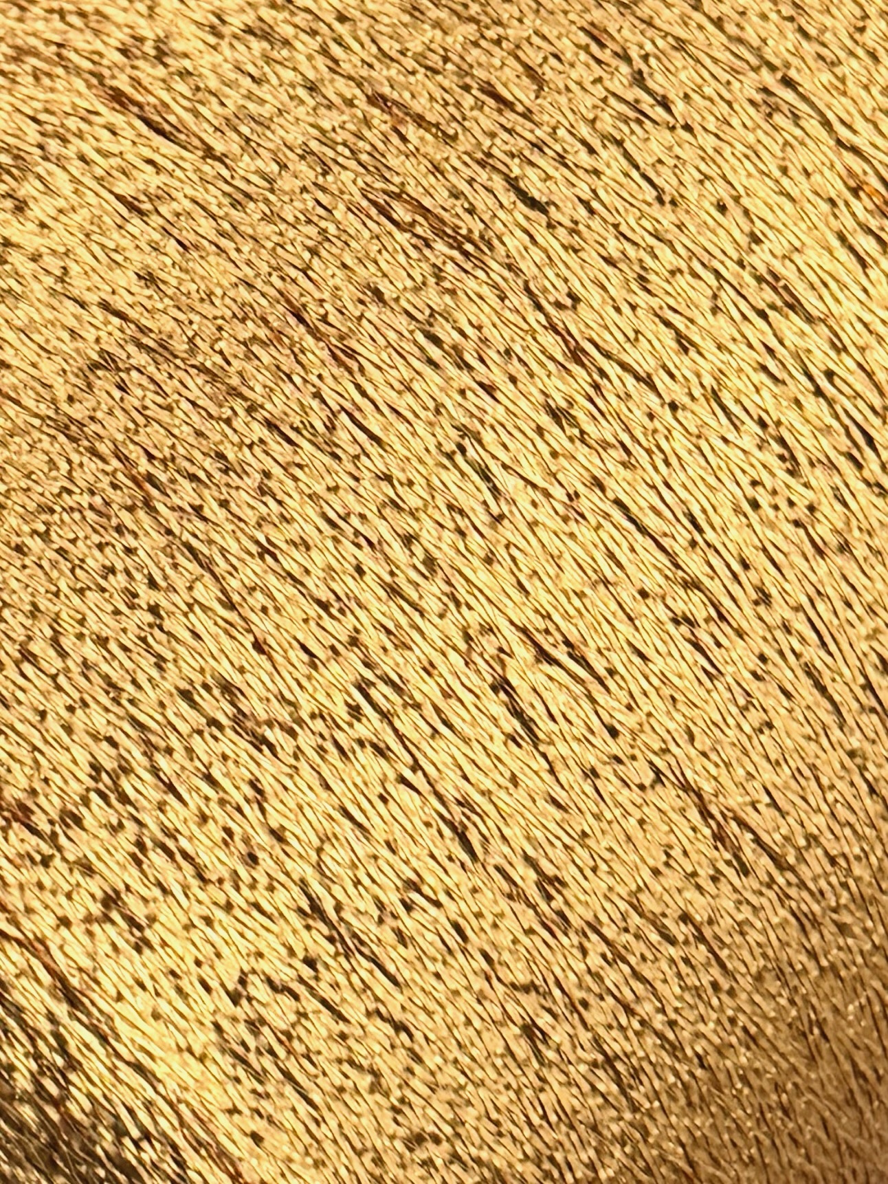 Lurexgarn 6900m/100g – Metallfaser col. Gold